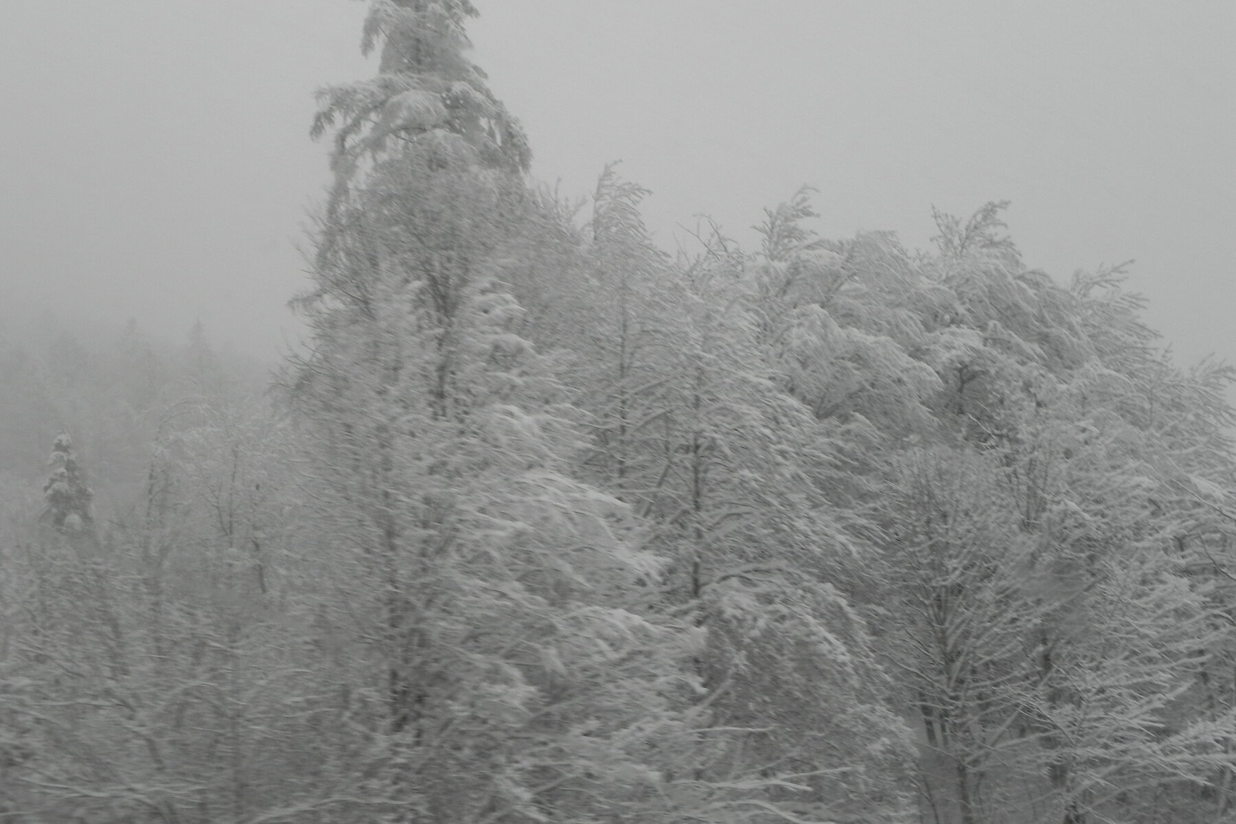 DSCN3360.JPG