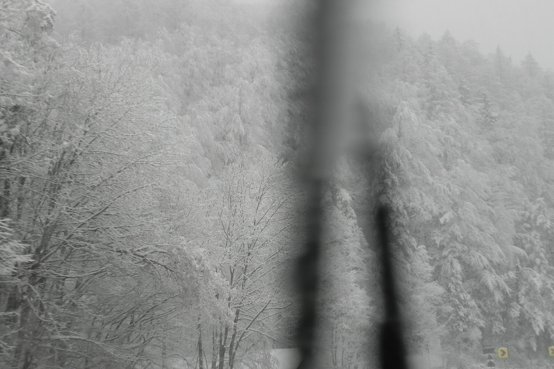 DSCN3361.JPG