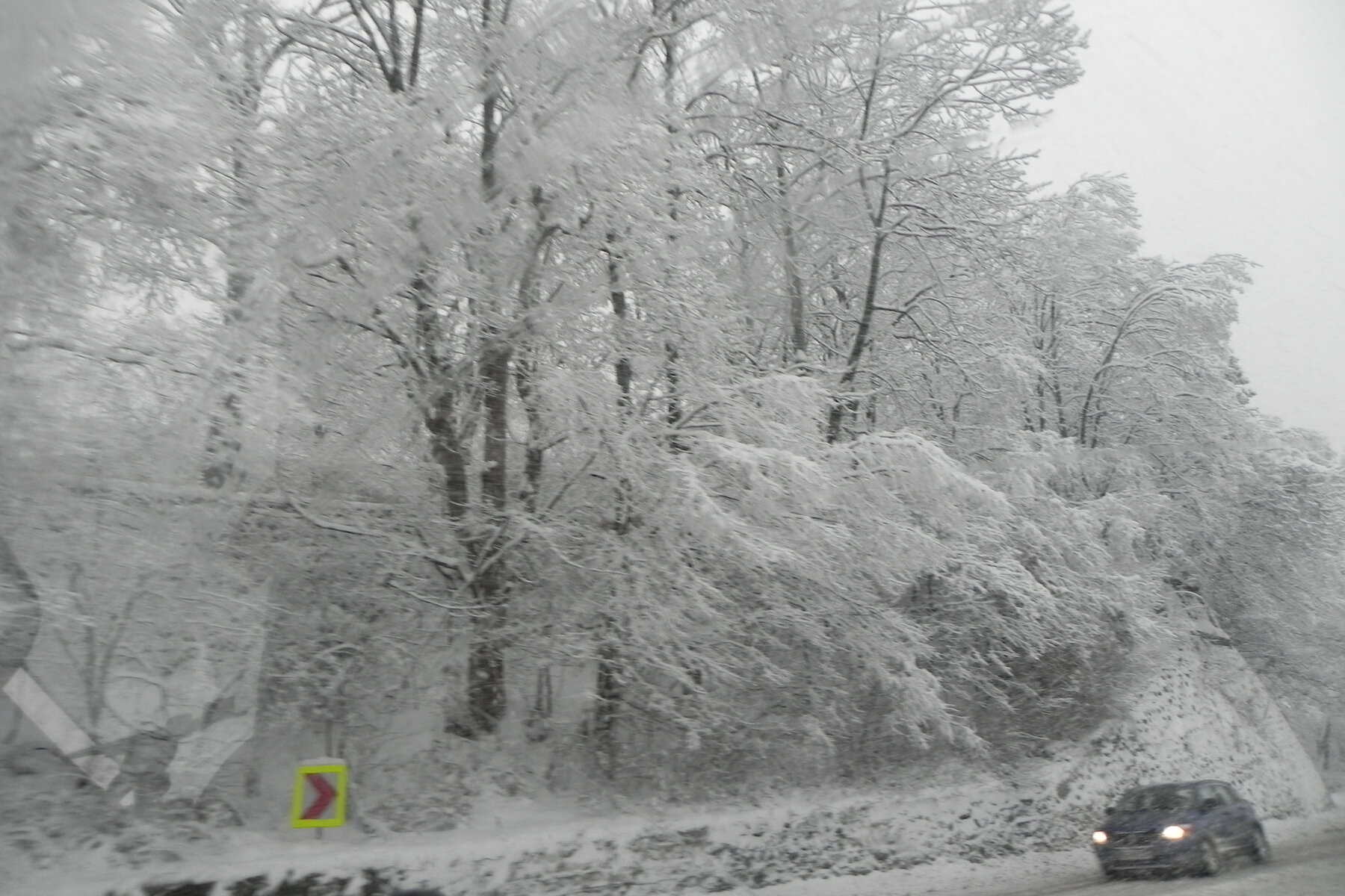 DSCN3392.JPG