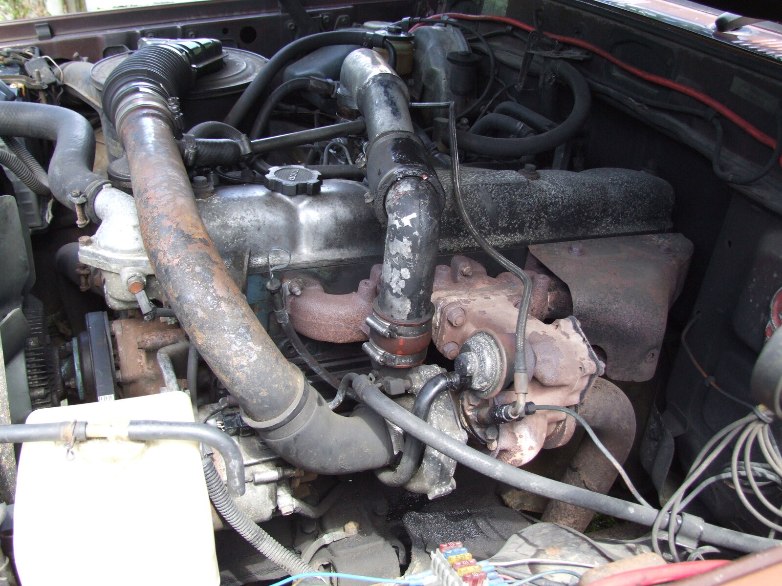 DSCF6229.JPG