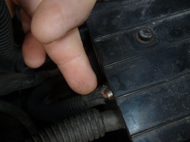 To input fuse 1.JPG