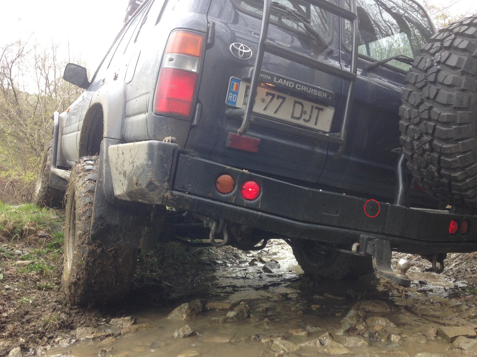 IMG_2503a.jpg