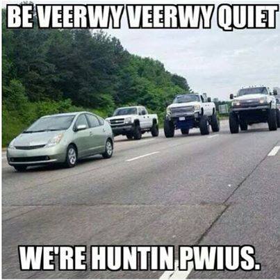 Pruis1.jpg
