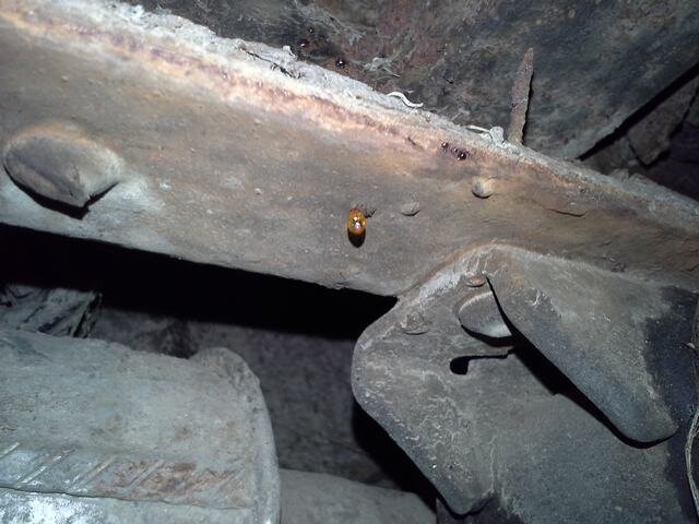 20131101_193227.jpg