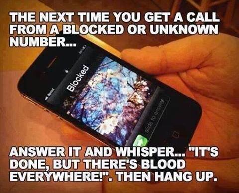 10460790_10201994738941272_1049557403738508122_n.jpg