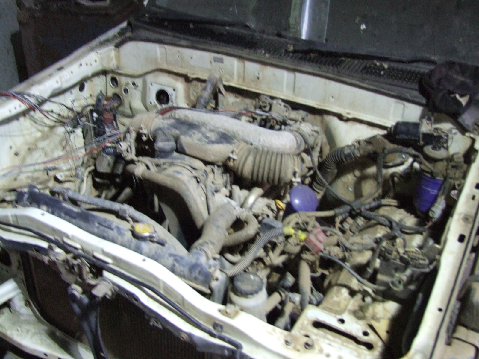 Hilux D4D 001.JPG