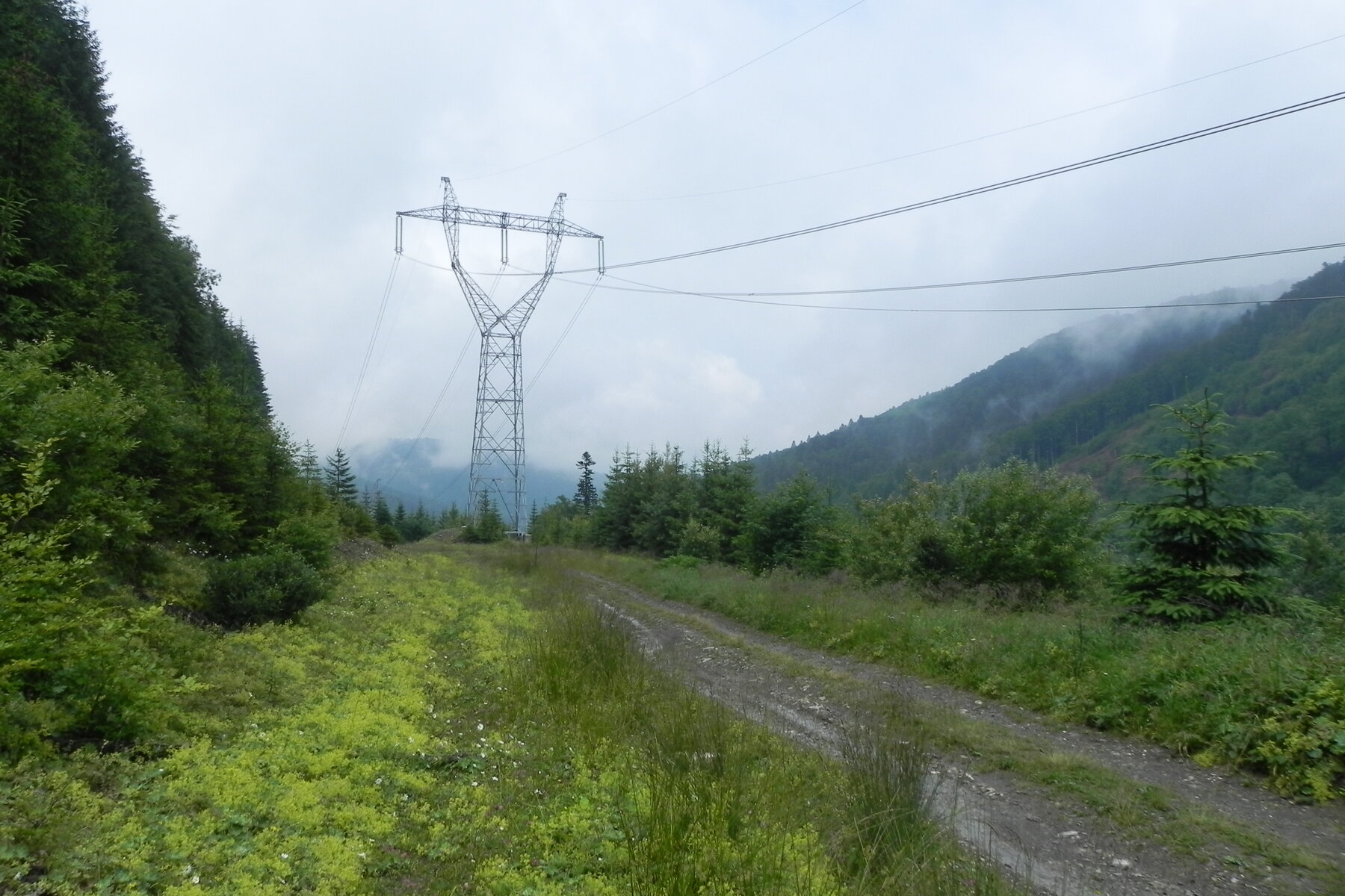 DSCN4696.JPG