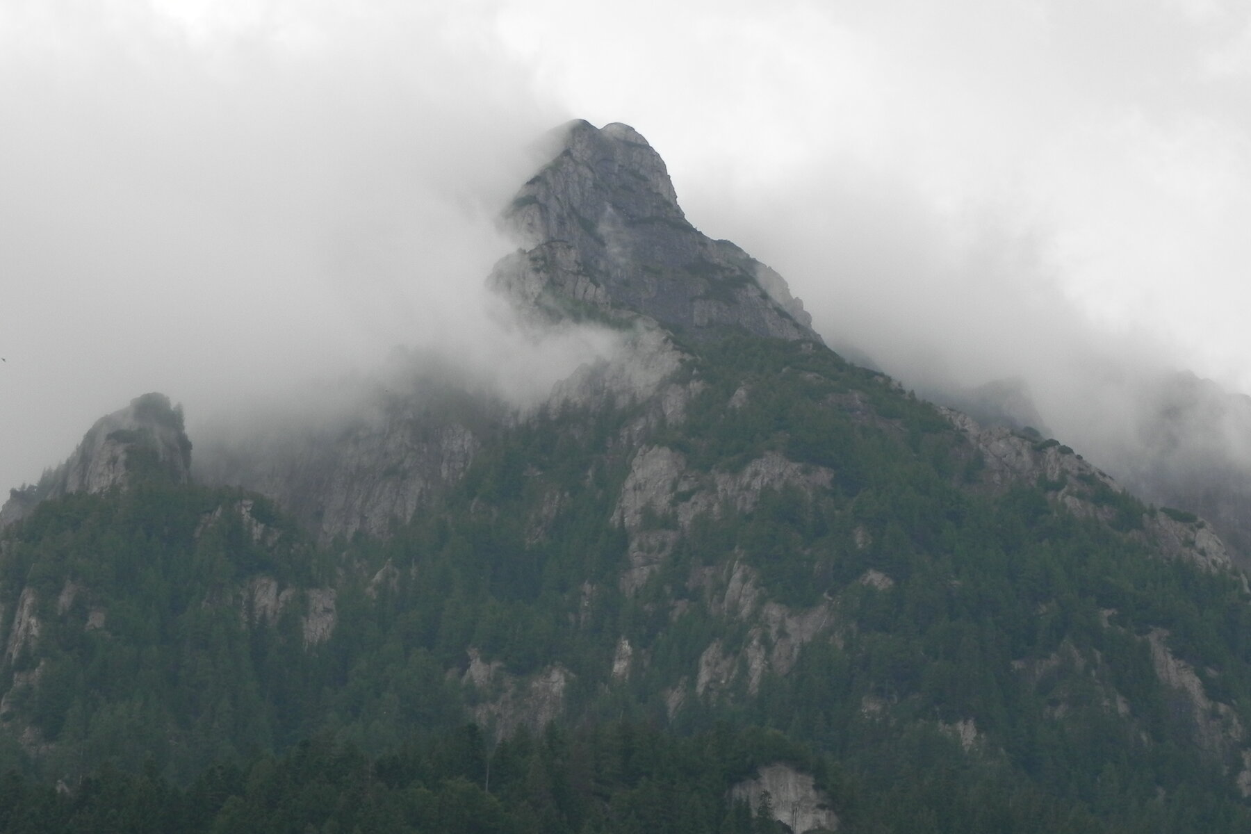 DSCN4719.JPG
