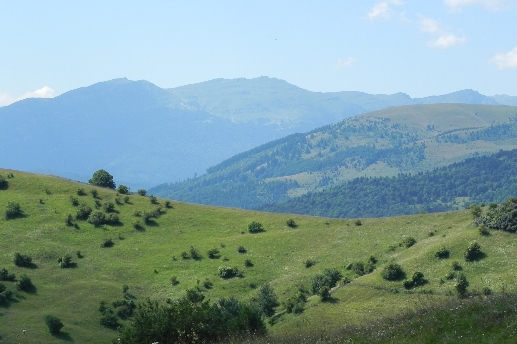DSCN4736.JPG