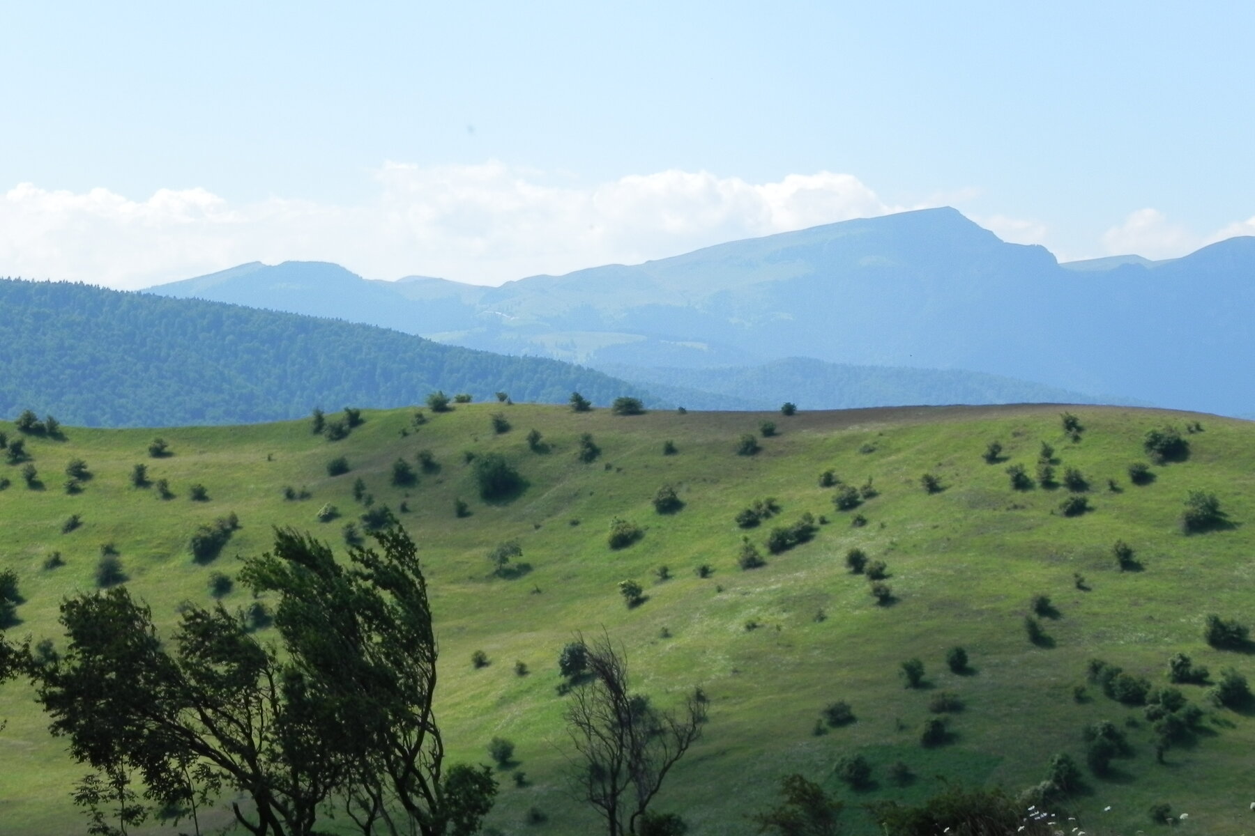 DSCN4737.JPG