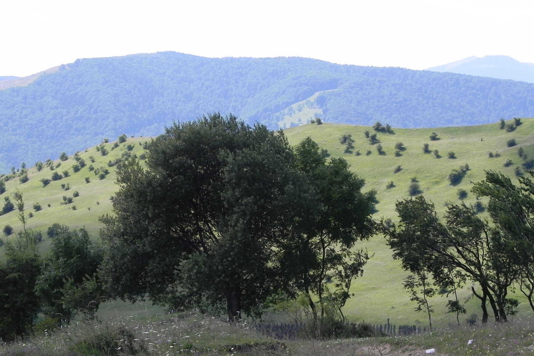DSCN4738.JPG