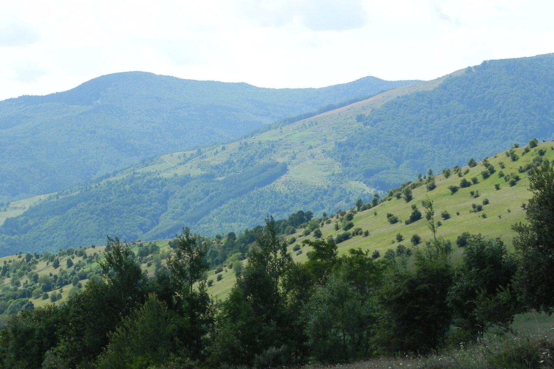 DSCN4739.JPG