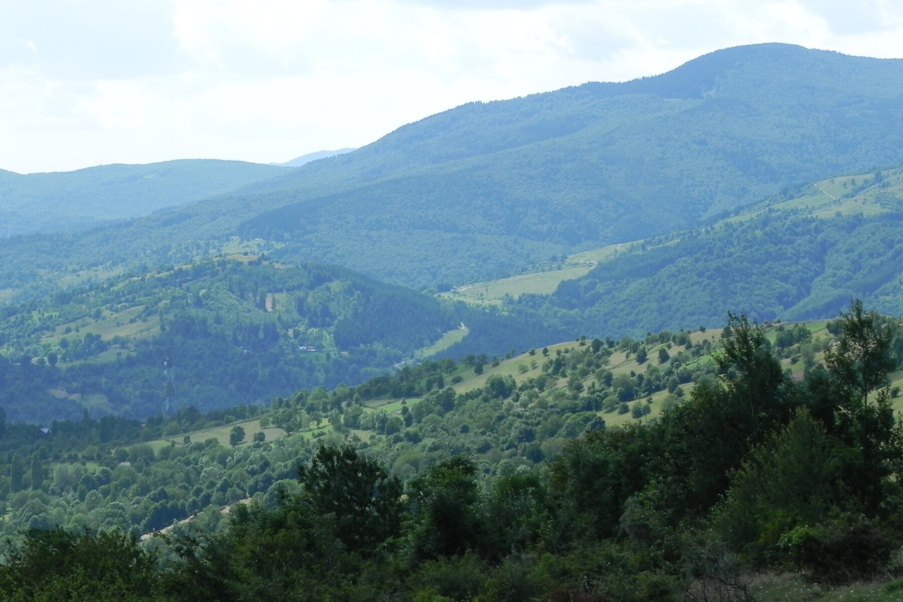 DSCN4740.JPG