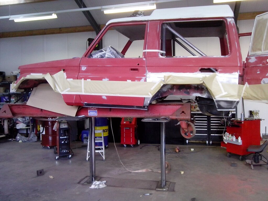cat 005.jpg