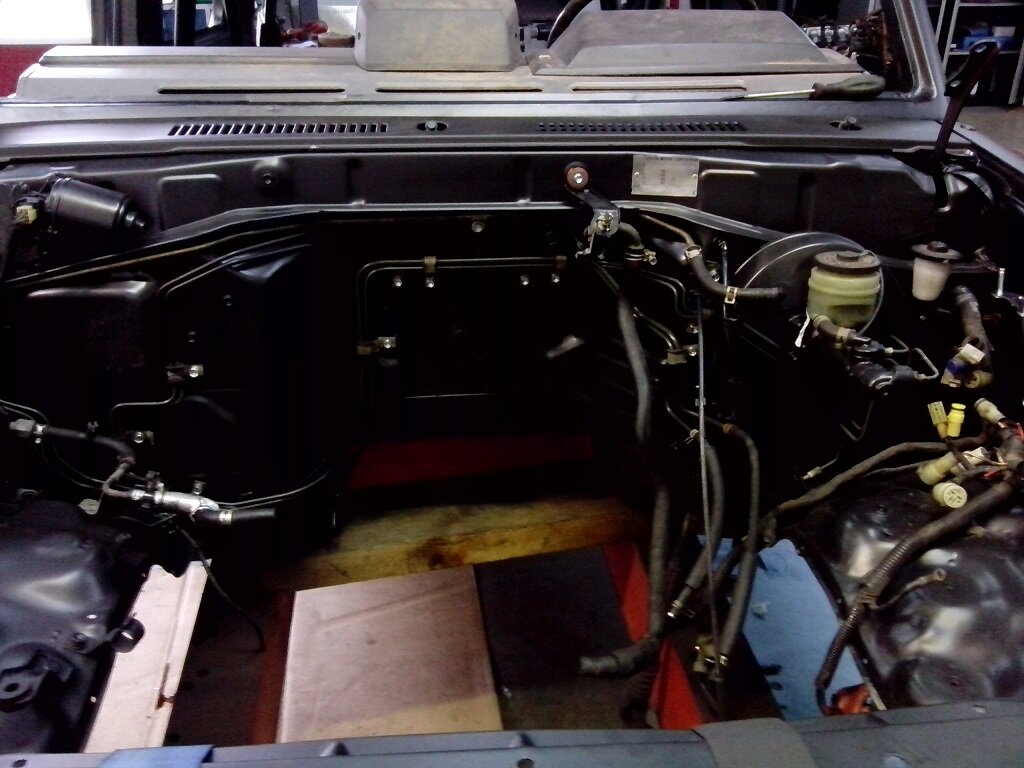 cat 049.jpg