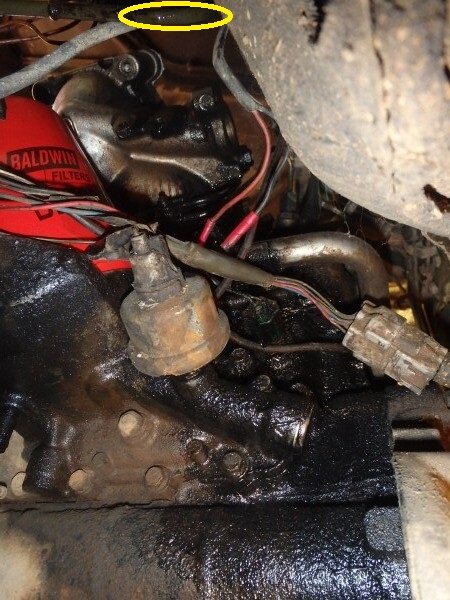 Ben's oil leak.jpg