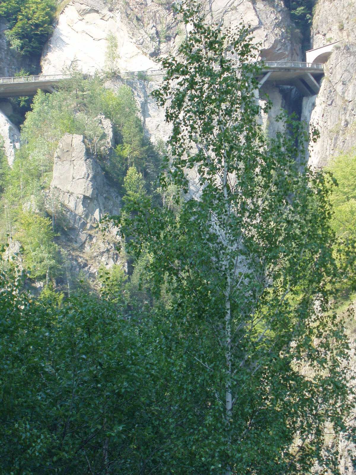 Honeymoon - 27.08.03 - (19).jpg