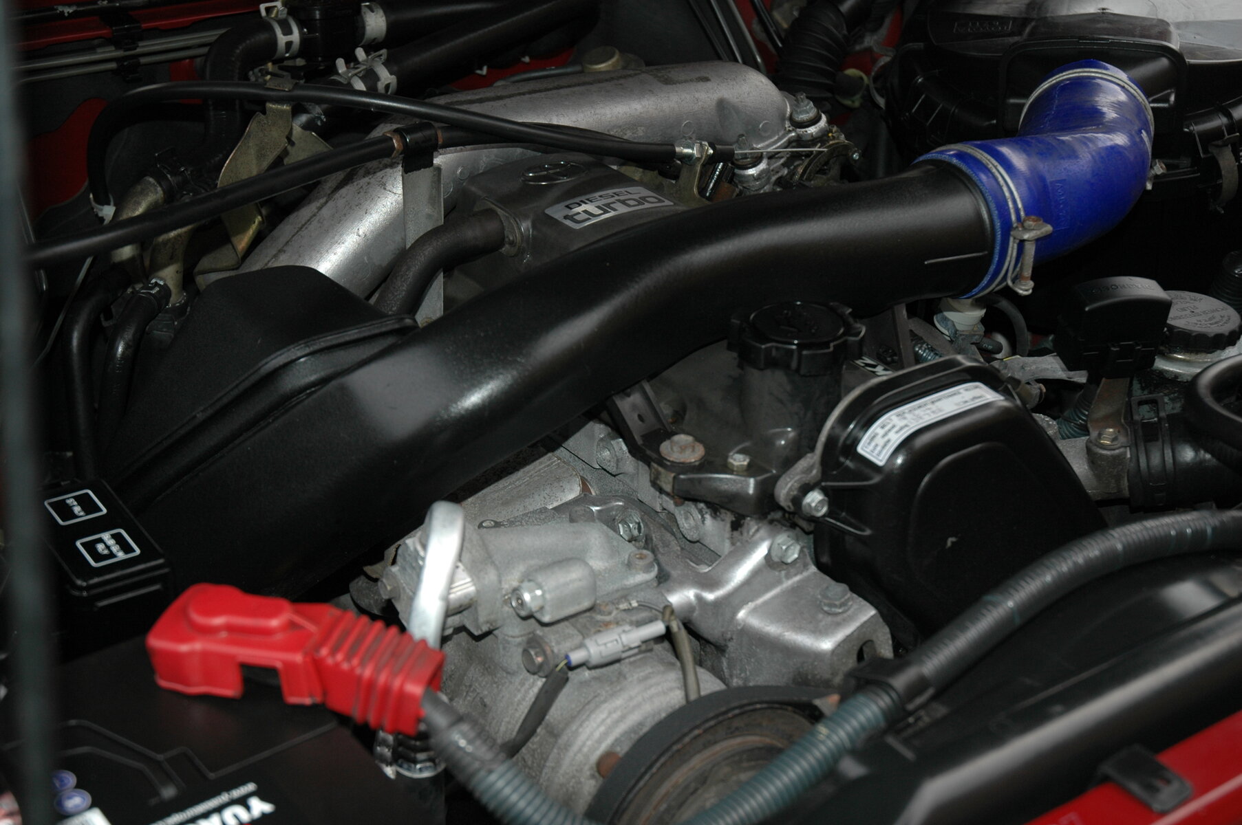 DSC_0076.jpg