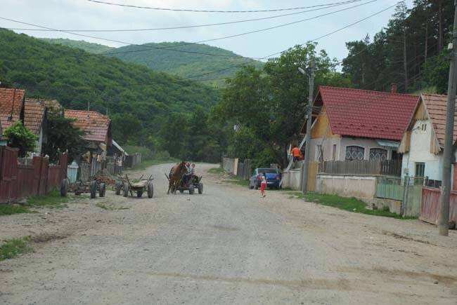 156.jpg