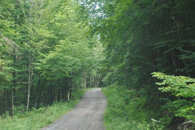 158.jpg