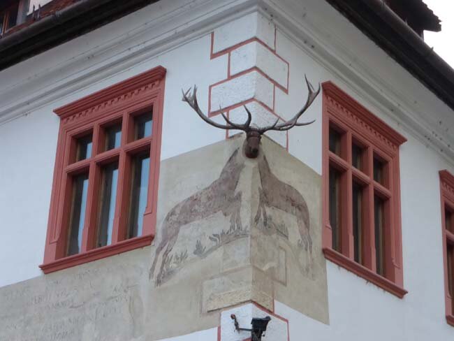 164.jpg