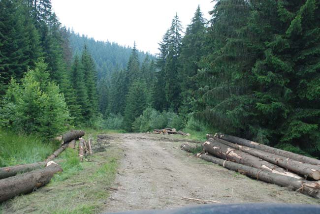 176.jpg