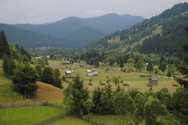 179.jpg