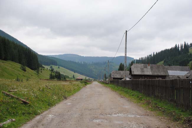 197.jpg