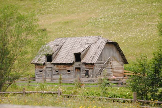 199.jpg