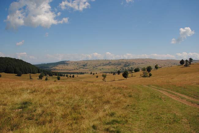 224.jpg