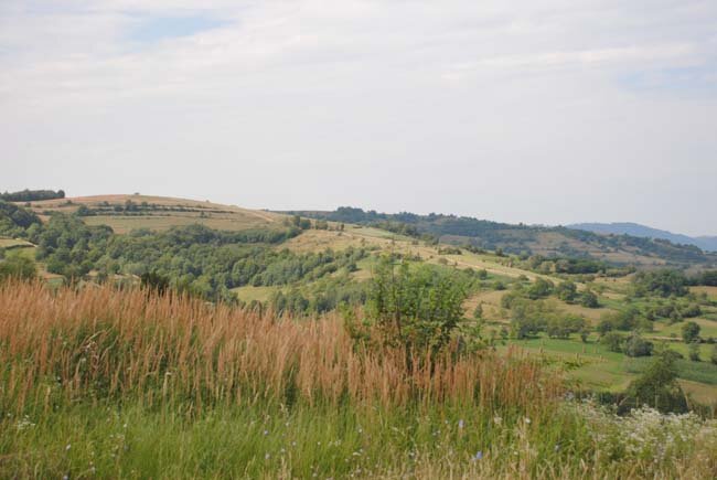 236.jpg
