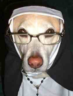 Catholic dog.jpg