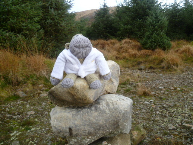 More rocks.JPG
