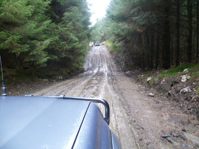 Muddy tracks.JPG