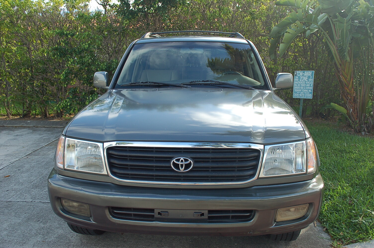 DSC_8936.JPG