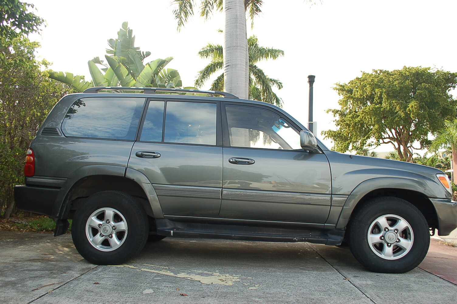 DSC_8945.JPG
