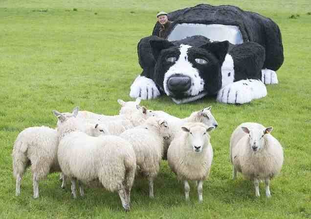 I think this must be a Lamb Rover..jpg