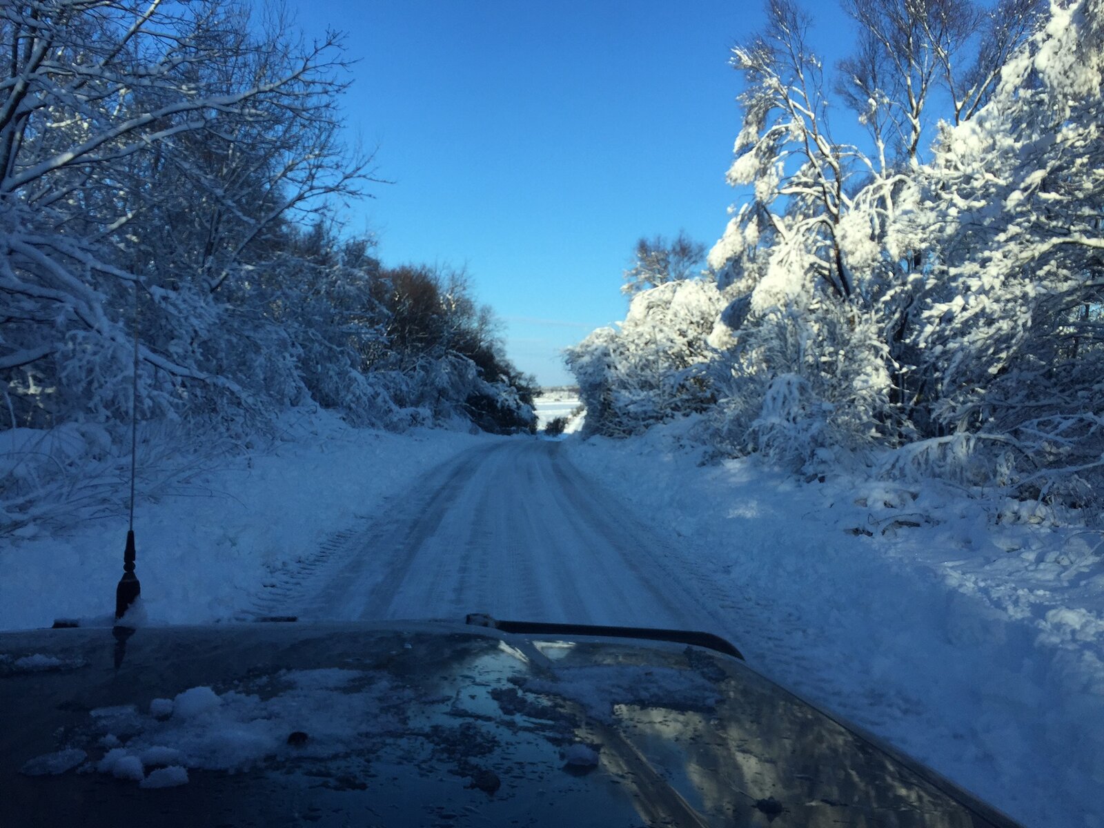 Snow 14.JPG