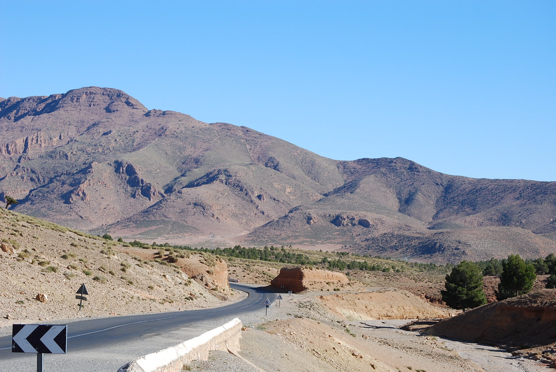 DSC_0161.JPG