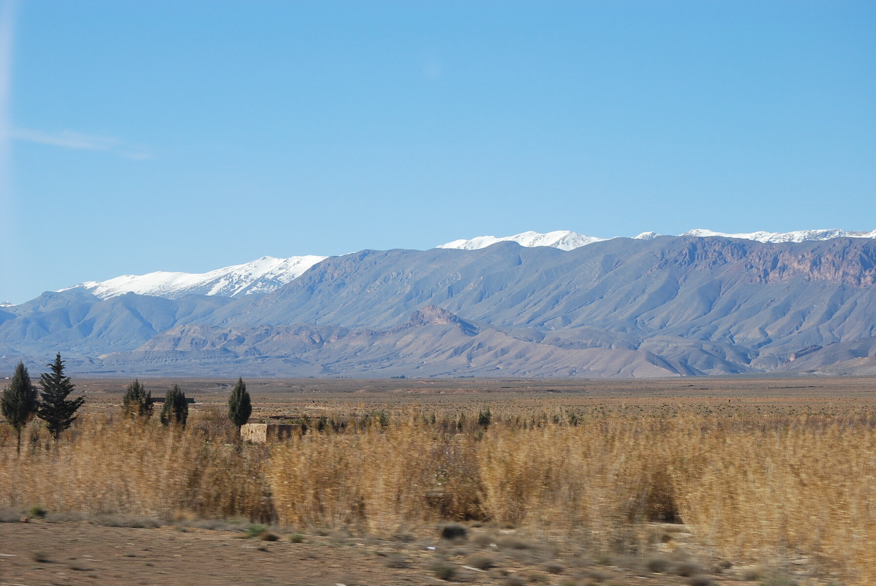 DSC_0184.JPG DSC_0184.JPG