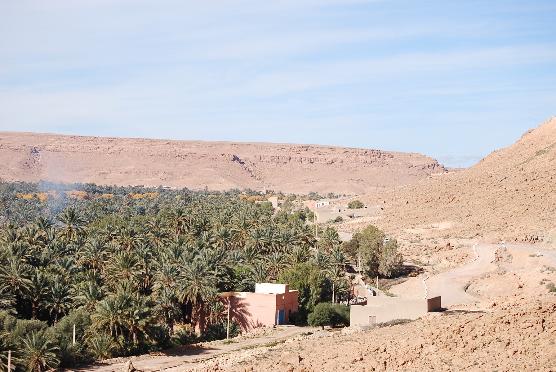 DSC_0278.JPG DSC_0278.JPG