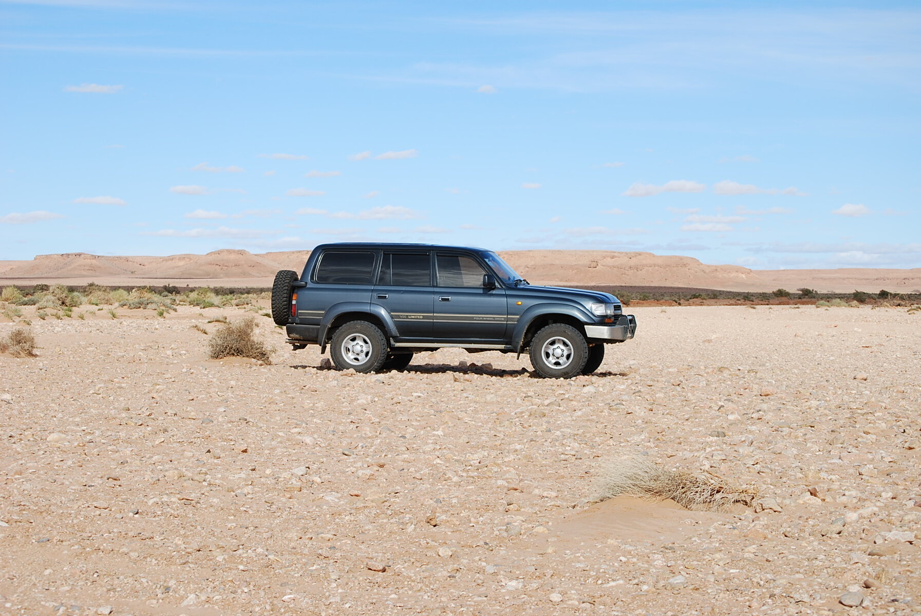 DSC_0305.JPG DSC_0305.JPG