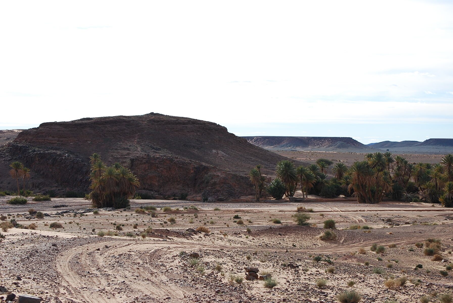 DSC_0312.JPG DSC_0312.JPG