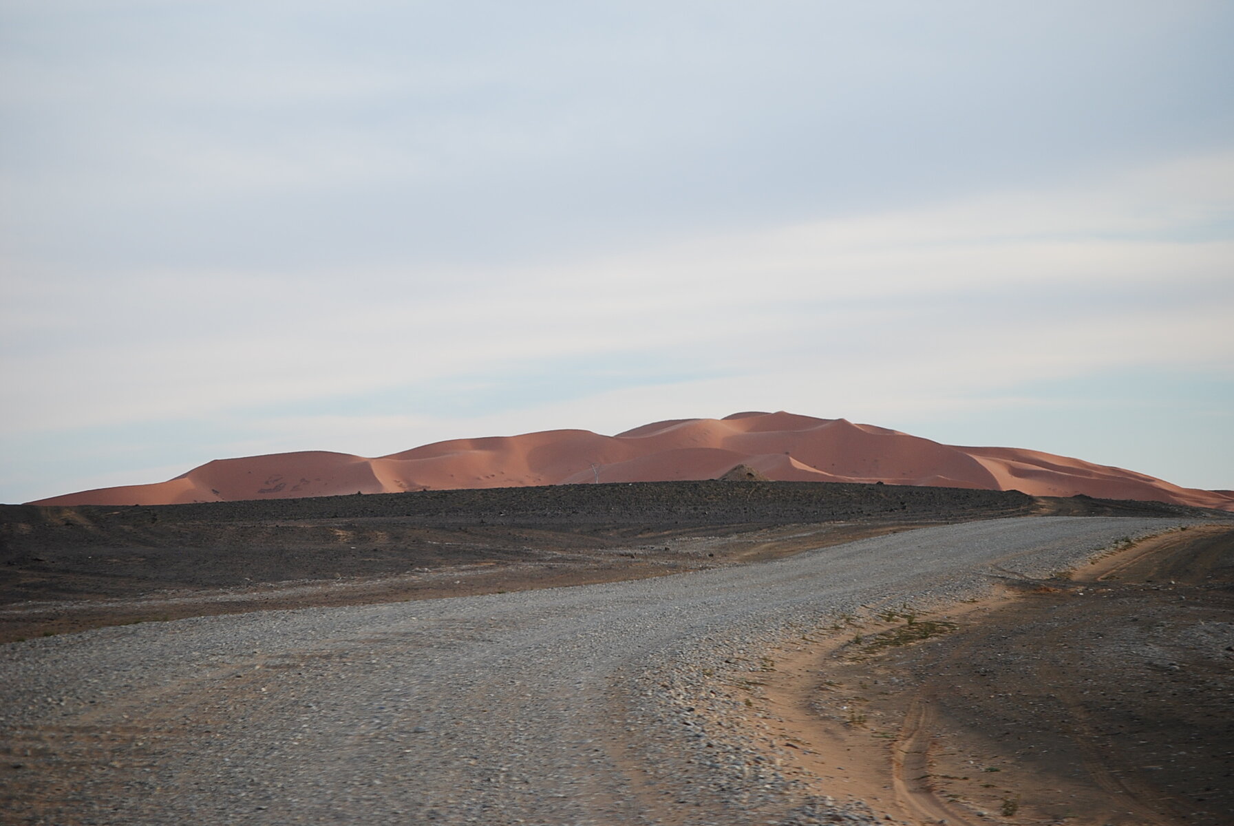 DSC_0321.JPG DSC_0321.JPG