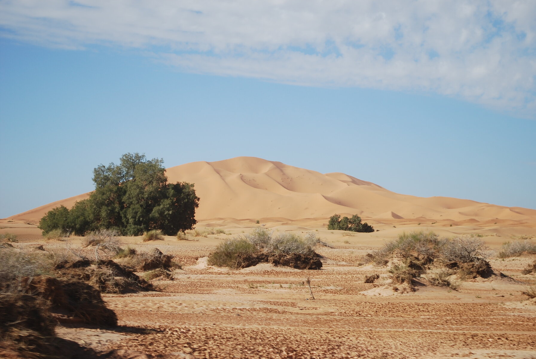 DSC_0341.JPG