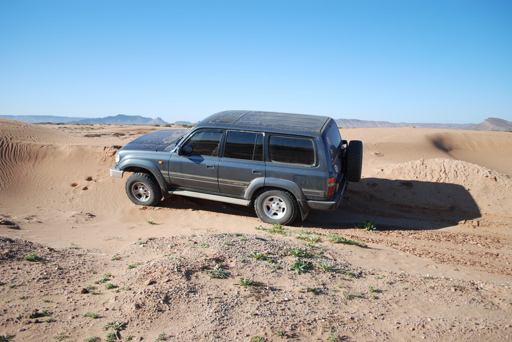 DSC_0350.JPG DSC_0350.JPG
