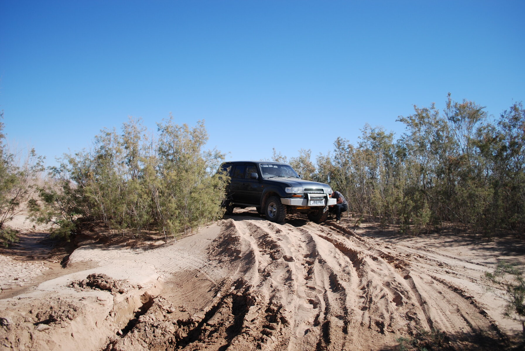 DSC_0368.JPG DSC_0368.JPG