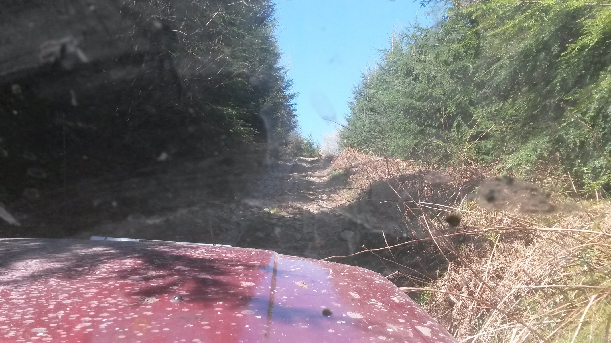 20150422_102255.jpg