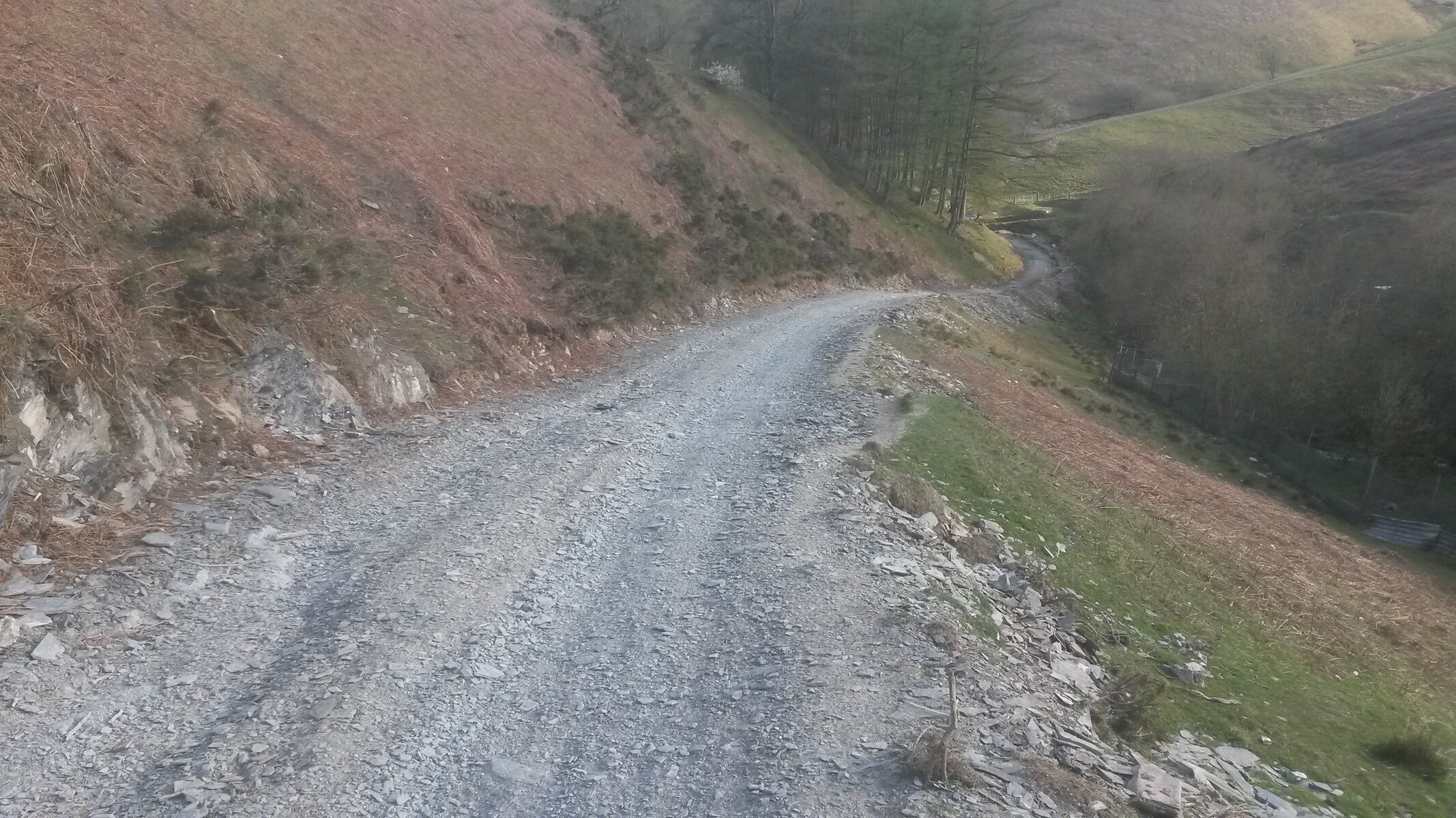 20150422_180108.jpg