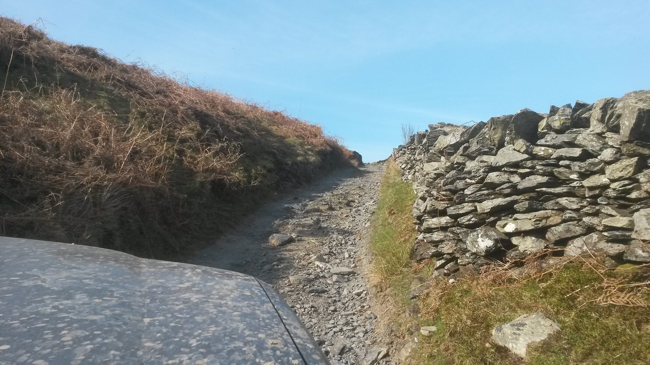 20150423_170831.jpg